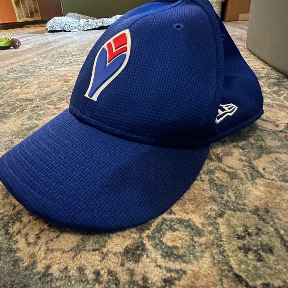 Men’s Atlanta Braves New Era Royal 9FORTY low profile hat